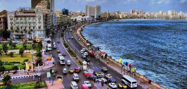 بعد تحذير جونسون.. «عميد البحار والمصايد»: الدولة تحمى الإسكندرية من التغيرات المناخية