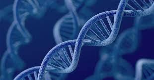   اكتشاف ثورى .. علماء يحددون الجين المسئول عن زيادة خطورة "كوفيد 19"