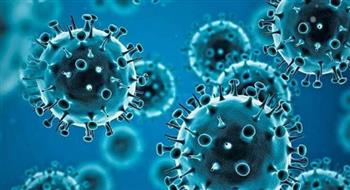   الصحة: تسجيل 922 حالة إيجابية جديدة بفيروس كورونا.. و60 وفاة