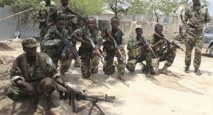 الجيش الصومالى يدمر معاقل الشباب بمحافظة شبيلى السفلى