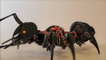   مهندسون يبتكرون روبوتات «نمل» للتغلب على العقبات