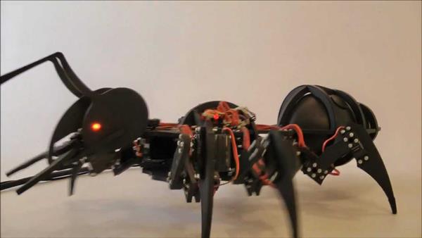 مهندسون يبتكرون روبوتات «نمل» للتغلب على العقبات