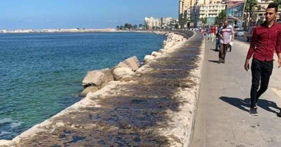 مصدر آمني :فتاة كورنيش الإسكندرية على قيد الحياة 