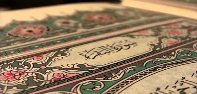 ما هما الزهراوان وما فضلهما؟