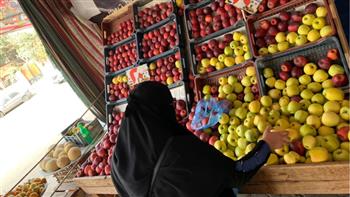   استقرار أسعار الخضروات والفاكهة بأسواق الإسماعيلية
