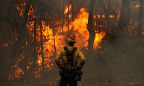 دراسة : دخان حرائق الغابات يتسبب فى مشاكل عصبية مدى الحياة