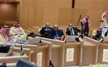   وزير الخارجية: أمن الخليج العربي وبلدانه الشقيقة جزء لا يتجزأ من أمن مصر