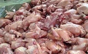 سقوط صاحب محل الدواجن الفاسدة فى قبضة الأمن 