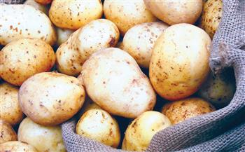   «وزارة الزراعة»: وصول 80 ألف طن تقاوى بطاطس مستوردة 