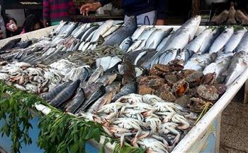   «عبده عثمان»: %15 زيادة فى أسعار الأسماك