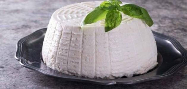 خبيرة تغذية تبرز فوائد الجبن القريش للعظام