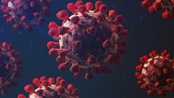   الصين تسجل 77 إصابة جديدة بفيروس كورونا