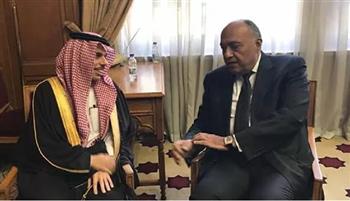   شكري: العلاقات بين مصر والسعودية يعد أمرا نعتز به 