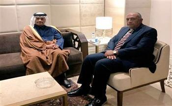 شكري ونظيره السعودى يؤكدان عمق العلاقات والتنسيق المشترك بين البلدين