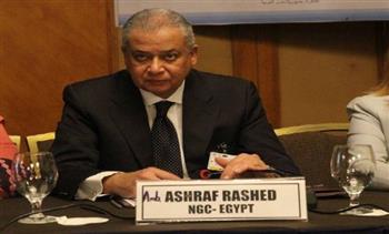   ممثل مصر في اللجنة الإفريقية لمراجعة النظراء: الدولة قفزت نحو تعزيز الحوكمة