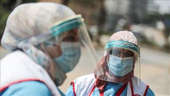   الصحة الفلسطينية: ٣٣٣ إصابة جديدة بفيروس كورونا