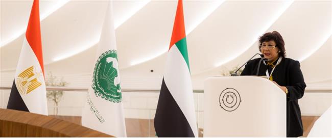 إيناس عبد الدايم: سنراجع خطة الثقافة العربية