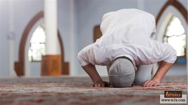 فضل صلاة الضحى