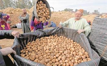   أنخفاض مفاجئ في اسعار البطاطس في الاسواق 