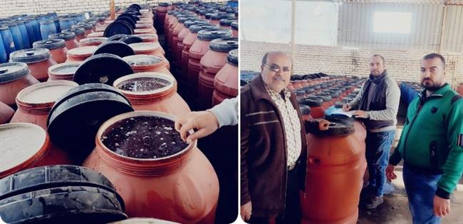 ضبط ١٢٠ كجم سمان و١٨ طن مخلل داخل مصانع بدون ترخيص