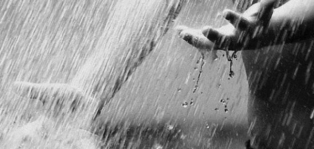 ما الفرق بين الغيث والمطر؟