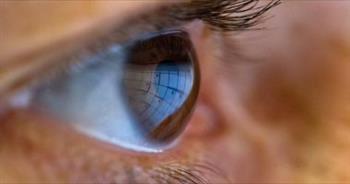   هل تقضى عيون الذباب على العمى عند البشر؟