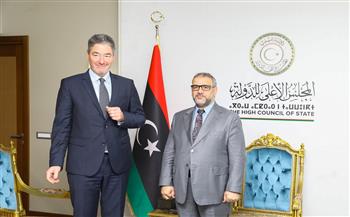   المشري يبحث مع السفير الألماني تطورات ملف الانتخابات الليبية