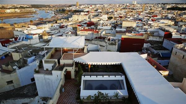 المغرب.. كلاب ضالة تنهش رضيعا في ضواحي تنغير