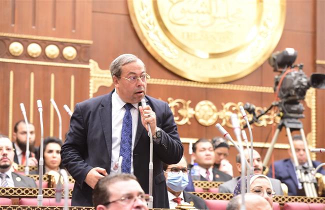 عضو بالشيوخ: في كل شبر من أرض مصر يولد مشروع عملاق  