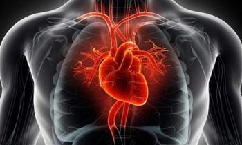   دراسة : التغيرات التى تطرأ على شكل القلب علامة إنذار للسكتات القلبية
