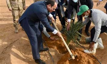   الرئيس السيسى يشارك فى زراعة شجرة نخيل بتوشكى (صور)