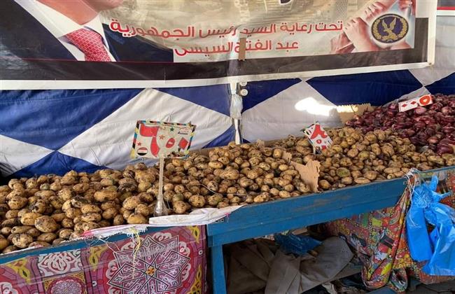تجارية الإسماعيلية .. ثبات أسعار الخضر والفاكهة بأسواق التجزئة 