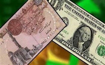 الدولار يحافظ على استقراره مقابل الجنيه 