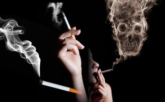 هيئة ميناء دمياط ينظم ندوة عن أضرار التدخين