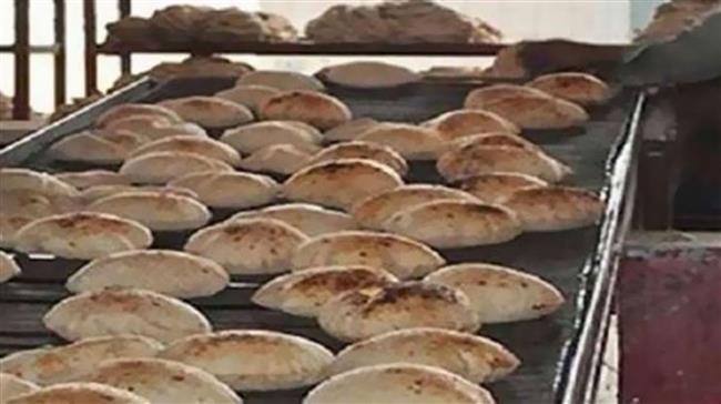 ضبط  290 قضية مخابز ودقيق خلال ٢٤ ساعة 