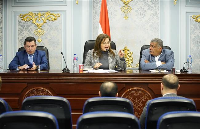 وزيرة التخطيط أمام «صناعة البرلمان»: 100 إجراء لتحفيز قطاع الصناعة وتنمية الصادرات