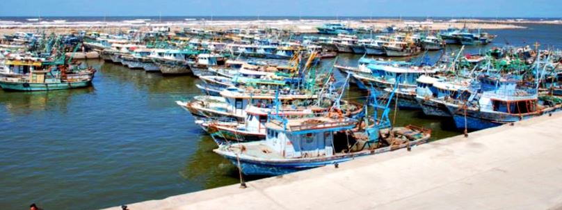 فتح ميناء الصيد البحري ببرج البرلس تزامنا مع استقرار أحوال الطقس