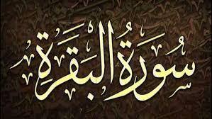 تبطل الأسحار وتزيد البركة.. 8 فوائد لقراءة سورة البقرة 