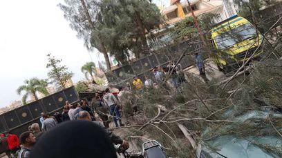 مصرع مسنة سقطت عليها شجرة بسبب الطقس السيء بالإسماعيلية