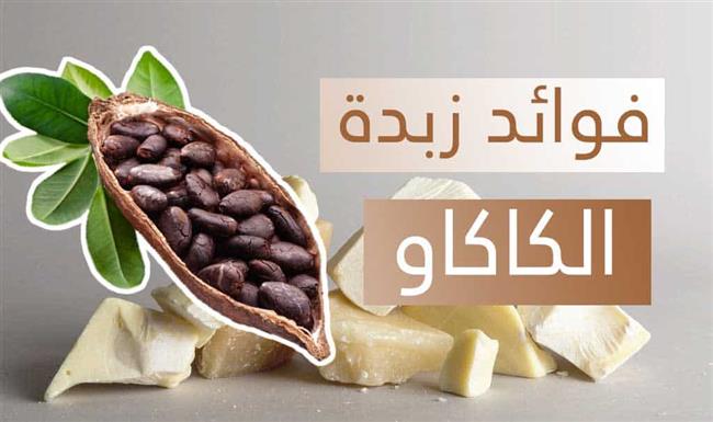 زبدة الكاكاو.. منجم فوائد للبشرة والشعر