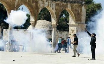    الاحتلال يقتحم المسجد القبلي ويطلق قنابل الصوت على المعتكفين 