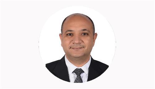 دكتور يحيى هاشم يكتب: الاستثمار في البشر.. مصر 2030