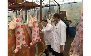 بيطرى قنا يواصل ضرباته للمخالفين ويحرر ١٥ محضرا قبل العيد