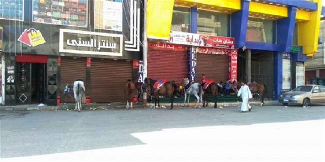 ثاني أيام العيد في قنا .. المحتفلون يلتزمون والخيول تنتشر في شوارع نجع حمادي