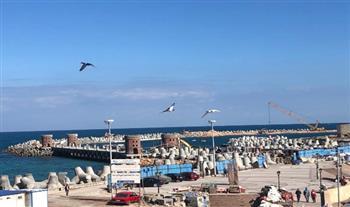 مشروعات كبرى لحماية شواطئ الإسكندرية وقلعة قايتباى والمنتزه
