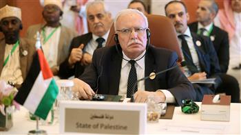   وزير خارجية فلسطين يطالب بتشكيل جبهة دولية تتصدي لـ«جرائم» إسرائيل