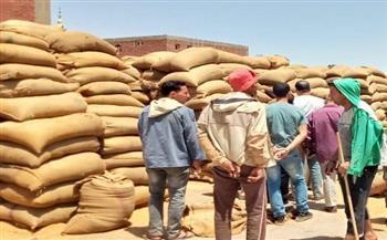 محافظ بني سويف: استلام أكثر من  136 ألف طن قمح منذ موسم التوريد