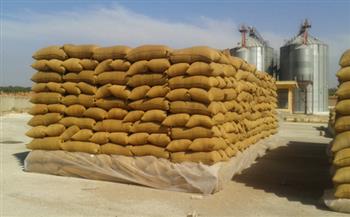   توريد القمح بإجمالي ٥٣٢٠ طن للصوامع والمطاحن ببورسعيد 