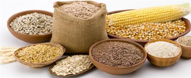 استمرار ارتفاع الذرة والأعلاف في البورصات العالمية 