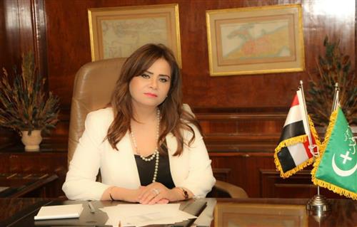 نائبة الوفد نجاح الجهود المصرية في وقف إطلاق النار بقطاع غزة